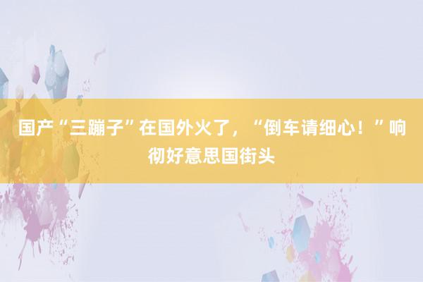 国产“三蹦子”在国外火了，“倒车请细心！”响彻好意思国街头