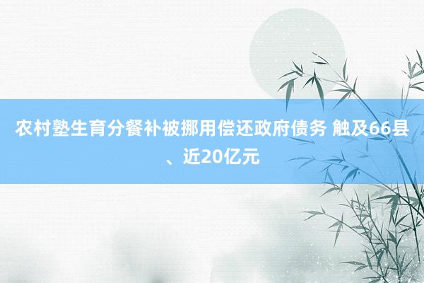 农村塾生育分餐补被挪用偿还政府债务 触及66县、近20亿元