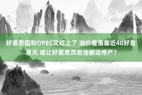 好意思国和OPEC又杠上了 油价着落靠近40好意思元 或让好意思页岩油被动停产？