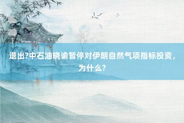 退出?中石油晓谕暂停对伊朗自然气项指标投资，为什么?