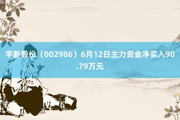 宇新股份（002986）6月12日主力资金净买入90.79万元