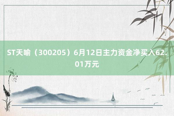 ST天喻（300205）6月12日主力资金净买入62.01万元