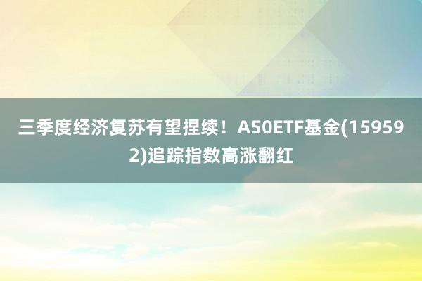 三季度经济复苏有望捏续！A50ETF基金(159592)追踪指数高涨翻红