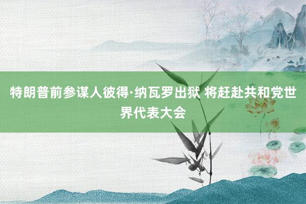 特朗普前参谋人彼得·纳瓦罗出狱 将赶赴共和党世界代表大会