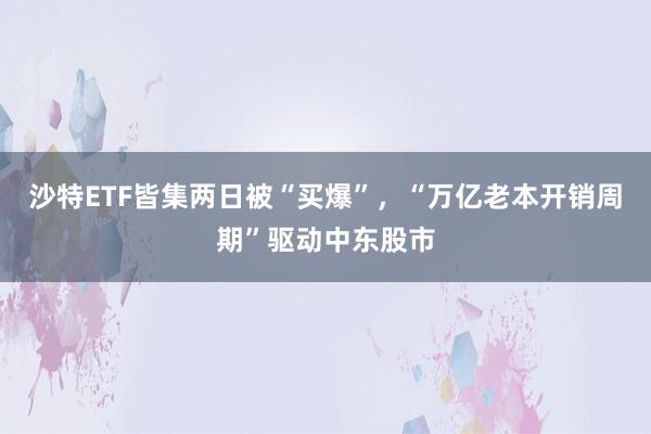 沙特ETF皆集两日被“买爆”，“万亿老本开销周期”驱动中东股市