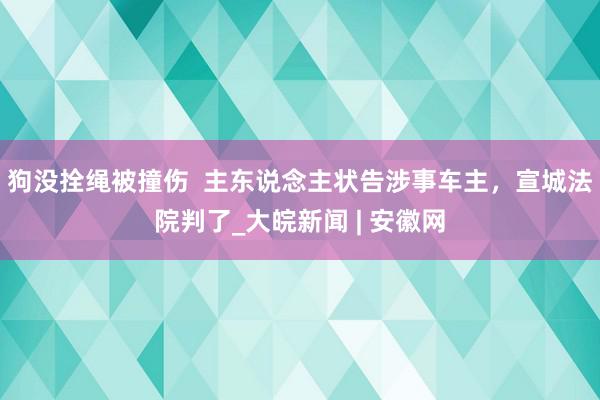 狗没拴绳被撞伤  主东说念主状告涉事车主，宣城法院判了_大皖新闻 | 安徽网