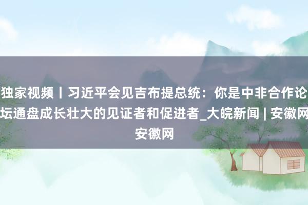 独家视频丨习近平会见吉布提总统：你是中非合作论坛通盘成长壮大的见证者和促进者_大皖新闻 | 安徽网