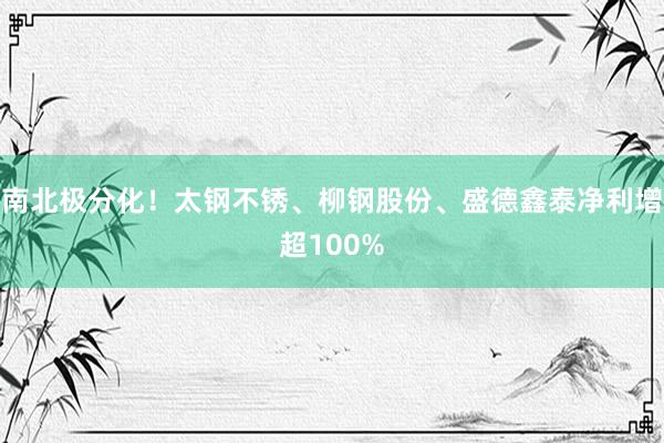 南北极分化！太钢不锈、柳钢股份、盛德鑫泰净利增超100%