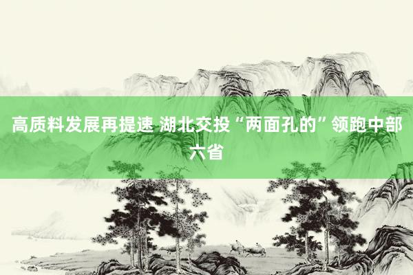 高质料发展再提速 湖北交投“两面孔的”领跑中部六省